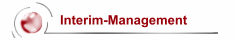 Interim-Management