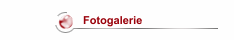 Fotogalerie