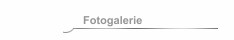 Fotogalerie